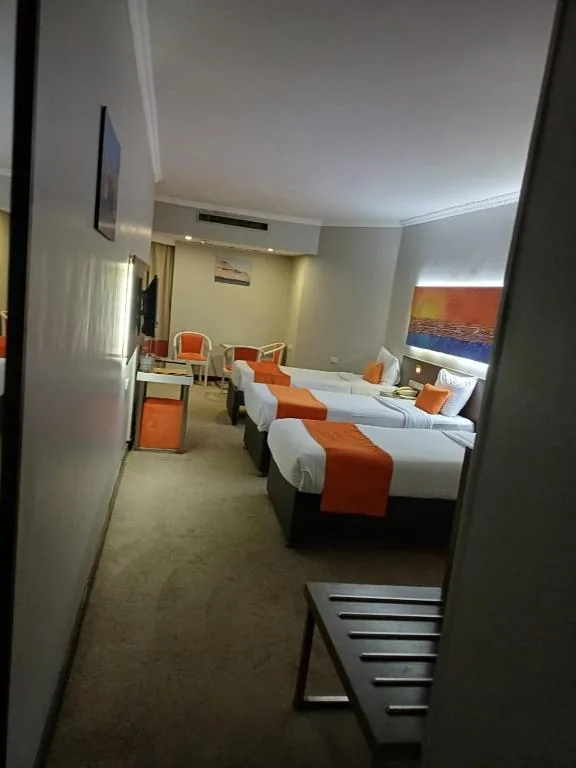 Aswan Plaza Hotel — foto 10